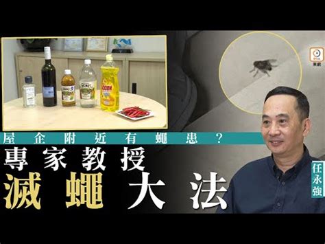 蒼蠅入屋風水|12 個常見的居家風水禁忌 & 化解方式，好的格局與擺。